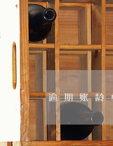 逾期账龄单位 逾期账龄单位