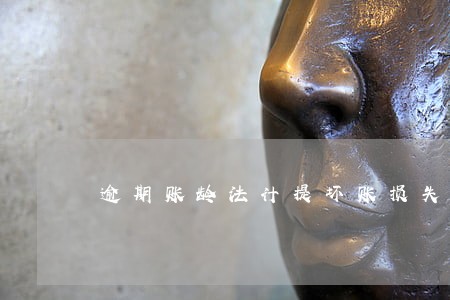 逾期账龄法计提坏账损失的案例 逾期账龄法计提坏账损失的案例