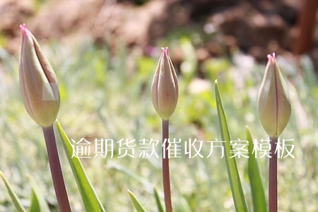 逾期货款催收方案模板 逾期货款催收方案模板