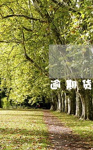 逾期货款催收英文表达 逾期货款催收英文表达