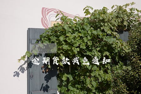 逾期货款减免通知