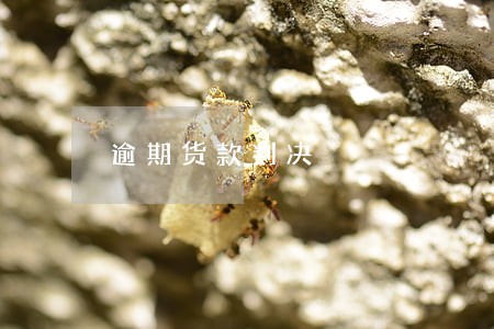 逾期货款判决 逾期货款判决
