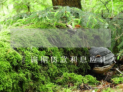 逾期货款利息应计入 逾期货款利息应计入
