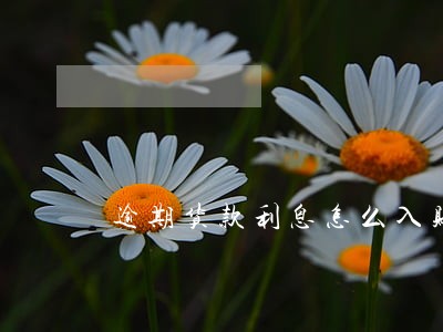 逾期货款利息怎么入账 逾期货款利息怎么入账