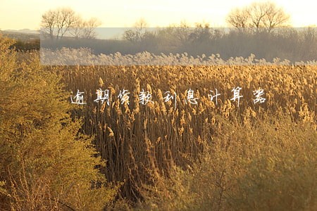 逾期货款利息计算器 逾期货款利息计算器