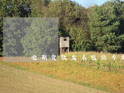 逾期货款发来电话号是空号 逾期货款发来电话号是空号