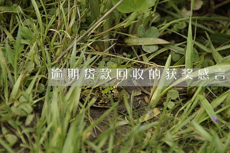 逾期货款回收的获奖感言 逾期货款回收的获奖感言
