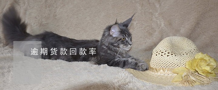 逾期货款回款率 逾期货款回款率