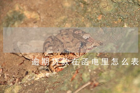 逾期货款在函电里怎么表示 逾期货款在函电里怎么表示