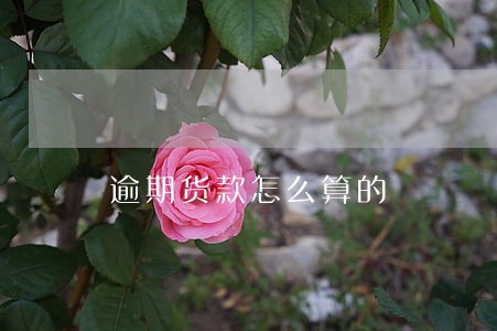 逾期货款怎么算的