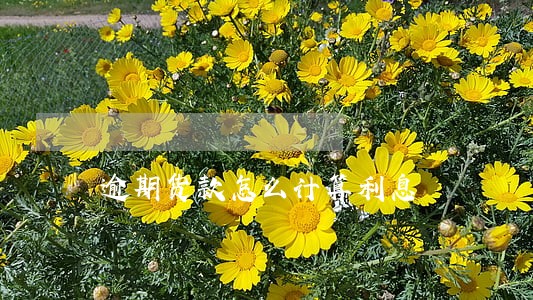 逾期货款怎么计算利息