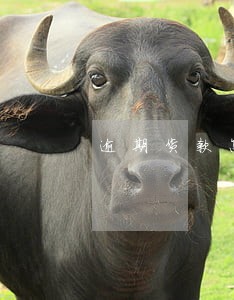 逾期货款怎么计算利息吗 逾期货款怎么计算利息吗