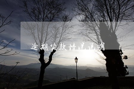 逾期货款情况说明 逾期货款情况说明