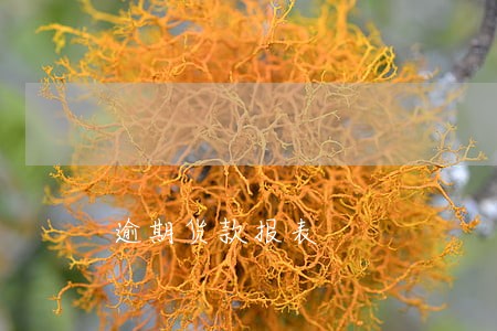 逾期货款报表