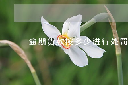逾期货款按多少进行处罚 逾期货款按多少进行处罚