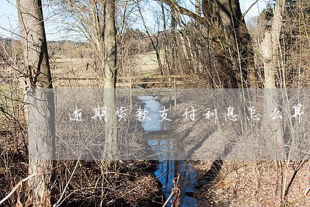 逾期货款支付利息怎么算 逾期货款支付利息怎么算
