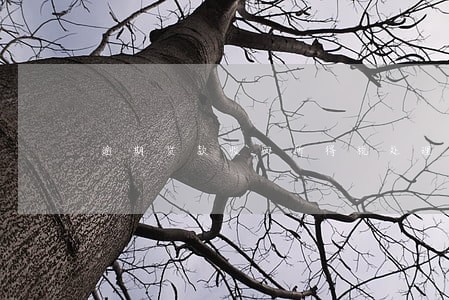 逾期货款收回所得税处理 逾期货款收回所得税处理