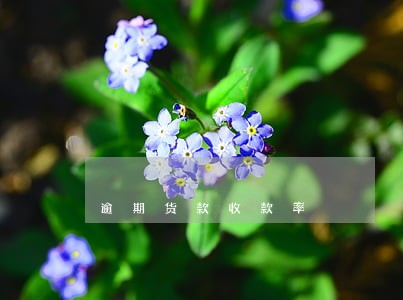 逾期货款收款率 逾期货款收款率