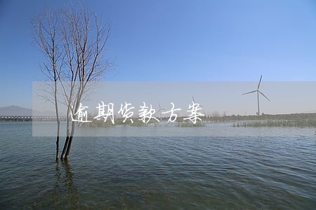 逾期货款方案 逾期货款方案
