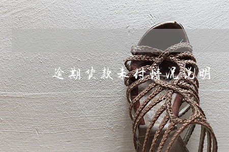 逾期货款未付情况说明 逾期货款未付情况说明