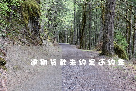 逾期货款未约定违约金 逾期货款未约定违约金