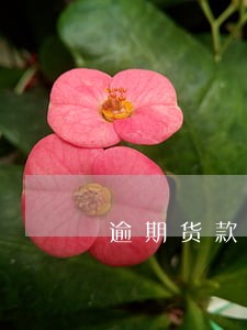 逾期货款率 逾期货款率