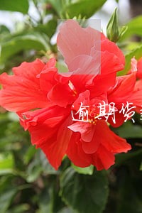 逾期货款率多少正常 逾期货款率多少正常