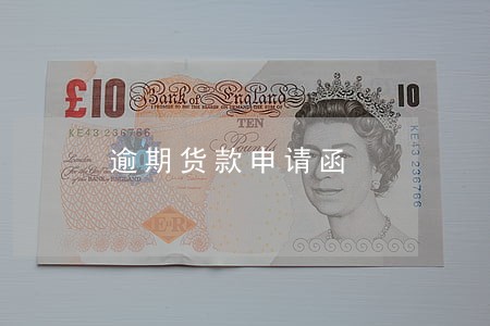 逾期货款申请函 逾期货款申请函