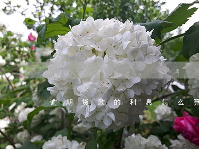 逾期货款的利息怎么算 逾期货款的利息怎么算