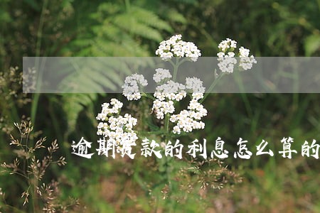 逾期货款的利息怎么算的 逾期货款的利息怎么算的