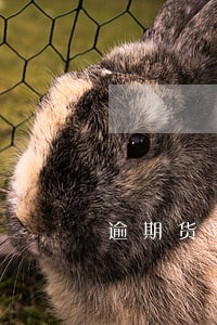 逾期货款的法律 逾期货款的法律