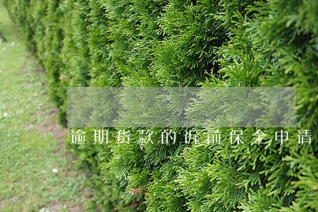 逾期货款的诉前保全申请 逾期货款的诉前保全申请