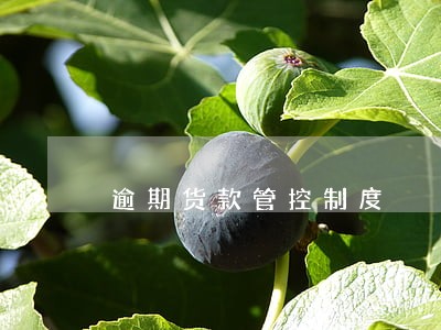逾期货款管控制度 逾期货款管控制度