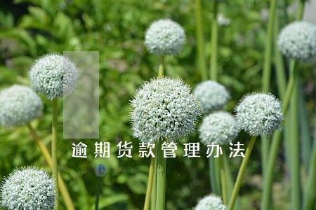 逾期货款管理办法 逾期货款管理办法