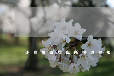 逾期货款罚息所得税前扣除 逾期货款罚息所得税前扣除
