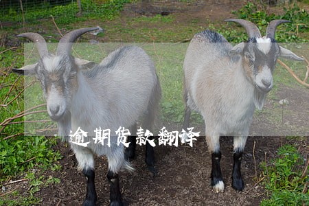 逾期货款翻译 逾期货款翻译