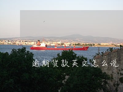 逾期货款英文怎么说 逾期货款英文怎么说