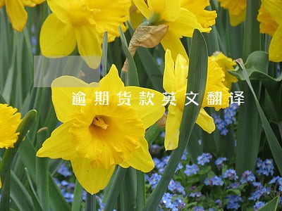 逾期货款英文翻译 逾期货款英文翻译