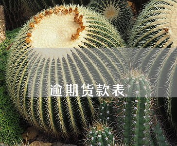 逾期货款表 逾期货款表