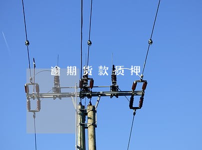 逾期货款质押 逾期货款质押