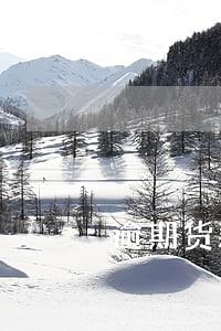 逾期货款违约金合同 逾期货款违约金合同