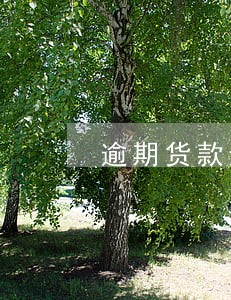 逾期货款违约金的法律规定 逾期货款违约金的法律规定