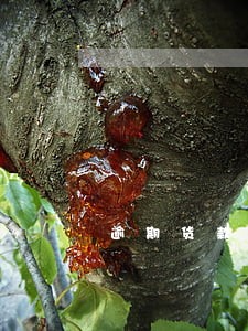 逾期货款违约金的约定 逾期货款违约金的约定