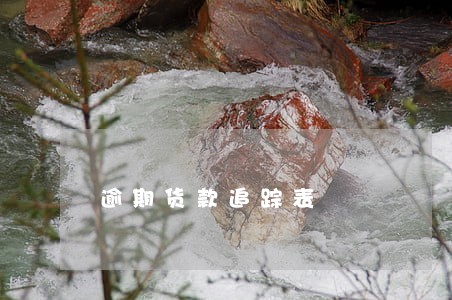 逾期货款追踪表 逾期货款追踪表