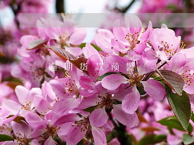 逾期货款预警 逾期货款预警