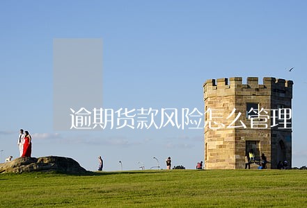 逾期货款风险怎么管理 逾期货款风险怎么管理