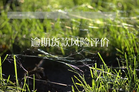 逾期货款风险评价 逾期货款风险评价