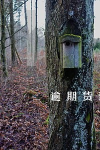 逾期货款风险问题 逾期货款风险问题