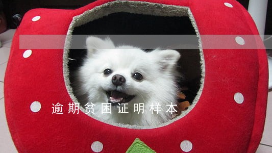 逾期贫困证明样本 逾期贫困证明样本
