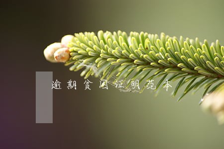 逾期贫困证明范本 逾期贫困证明范本